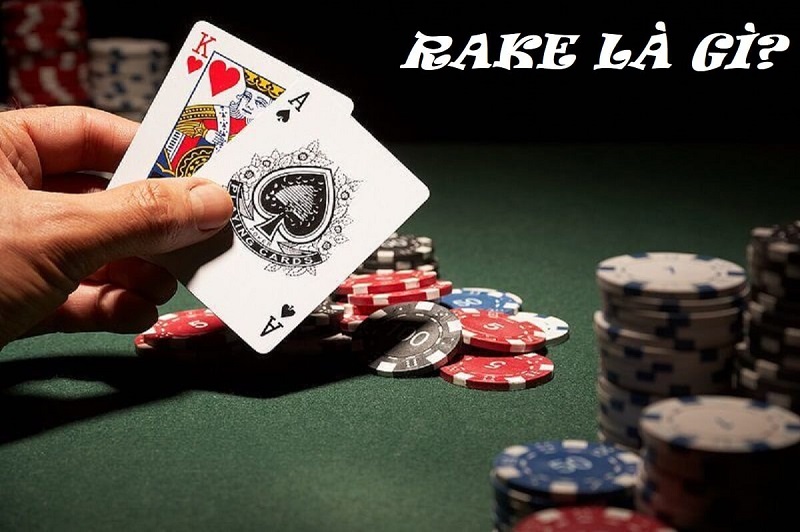 Khái niệm Rake? Rake ảnh hưởng như thế nào đến người chơi poker?
